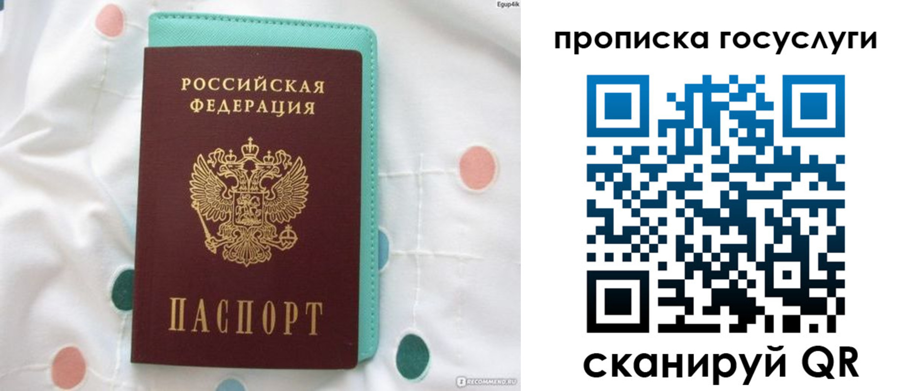 прописка поиск в Эртили